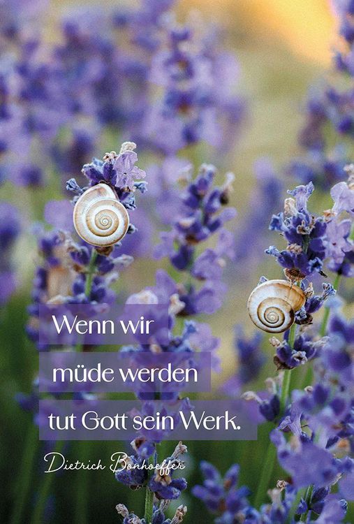 Produktbild: Beh&uuml;tet und getr&ouml;stet - Aufstellbuch