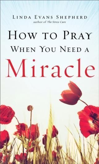 Produktbild: How to Pray When You Need a Miracle