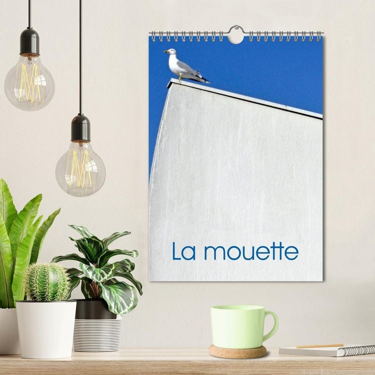 Produktbild: La mouette (Calendrier mural 2026 DIN A4 horizontal), CALVENDO calendrier mensuel