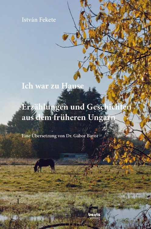 Produktbild: Istv&aacute;n Fekete - Ich war zu Hause