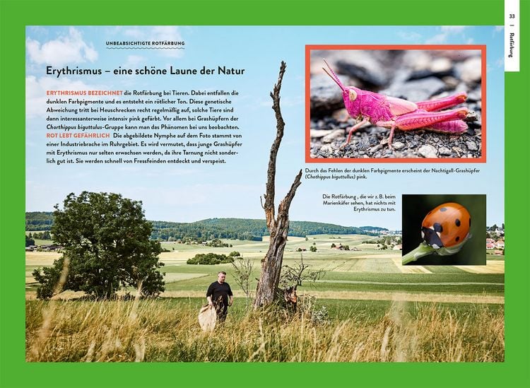 Produktbild: Nature Guide Insekten