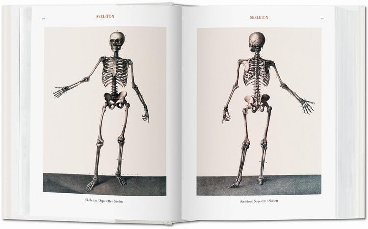 Produktbild: Bourgery