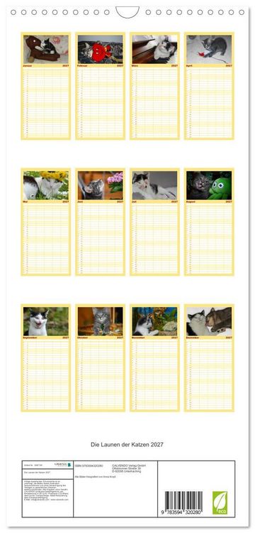 Produktbild: Familienplaner 2027 - Die Launen der Katzen 2027 mit 5 Spalten (Wandkalender, 21 x 45 cm) CALVENDO