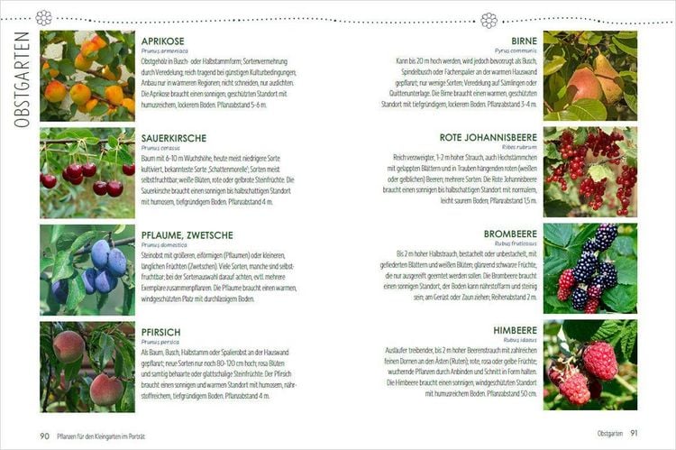 Produktbild: Mein Jahr im Kleingarten. Schrebergarten f&uuml;r Anf&auml;nger
