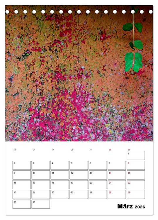 Produktbild: Mauerbl&uuml;mchen - Poesie im Allt&auml;glichen als Monatsplaner (Tischkalender 2026 DIN A5 hoch), CALVENDO Monatskalender