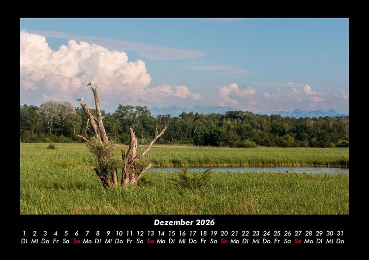 Produktbild: B&auml;ume 2026 Fotokalender DIN A3