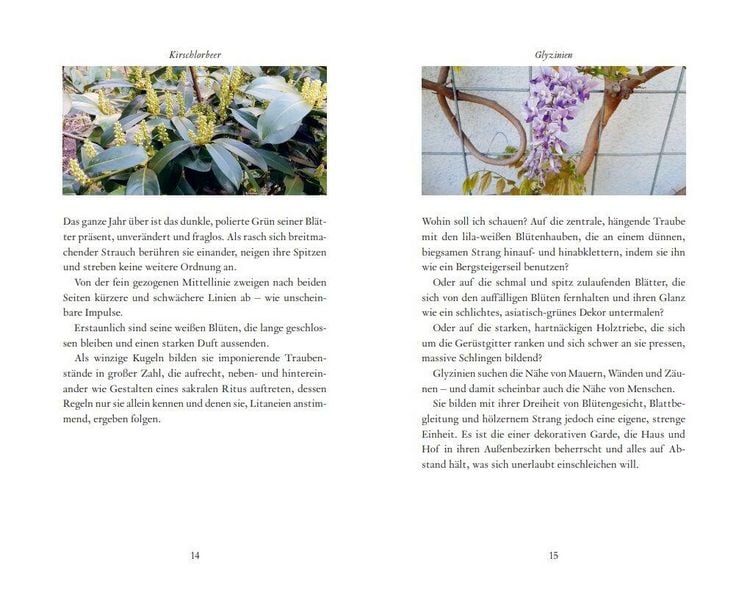 Produktbild: Kunstmomente