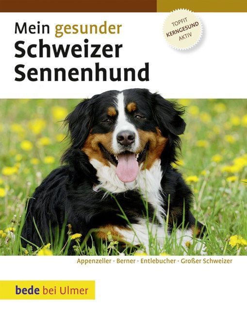 Produktbild: Mein gesunder Schweizer Sennenhund