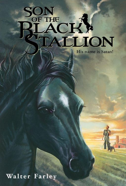 Produktbild: Son of the Black Stallion