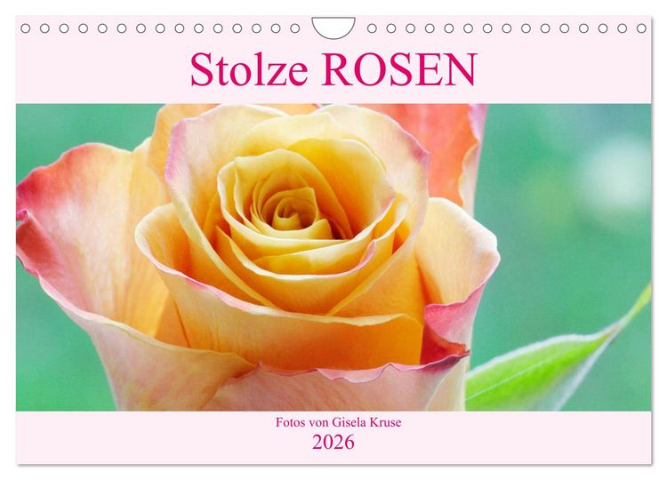 Produktbild: Stolze Rosen (Wandkalender 2026 DIN A4 quer), CALVENDO Monatskalender
