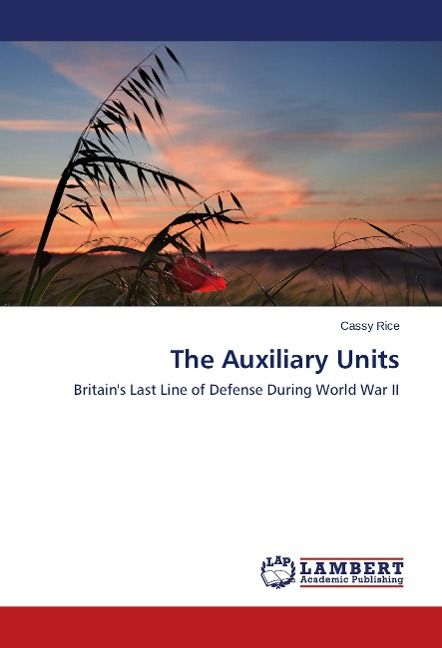 Produktbild: Rice, C: Auxiliary Units