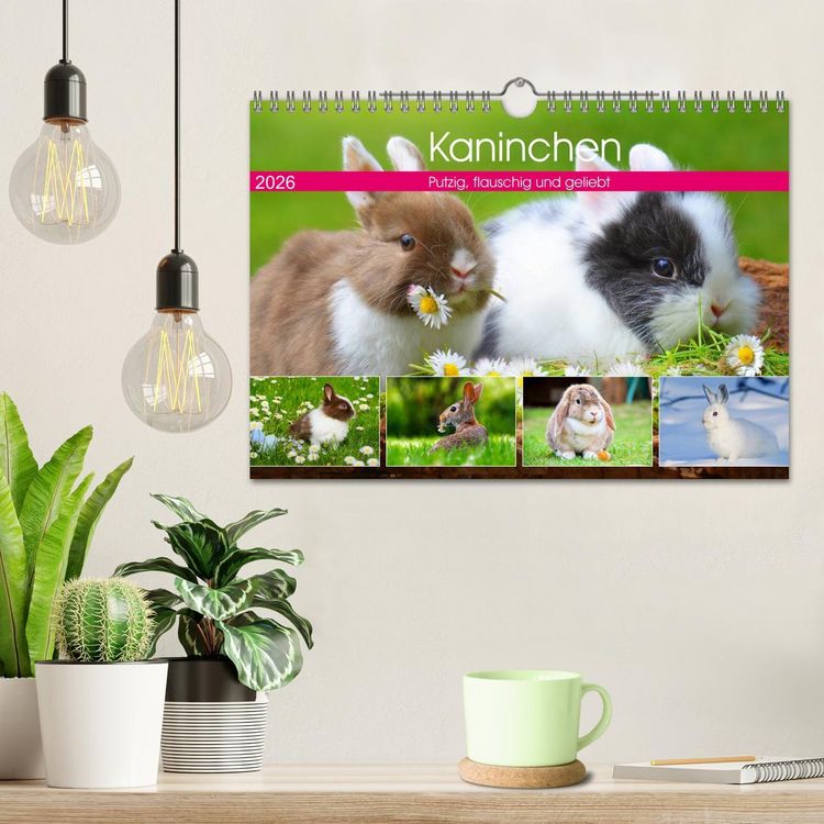 Produktbild: Kaninchen. Putzig, flauschig und geliebt (Wandkalender 2026 DIN A4 quer), CALVENDO Monatskalender