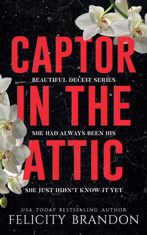 Produktbild: Captor In The Attic