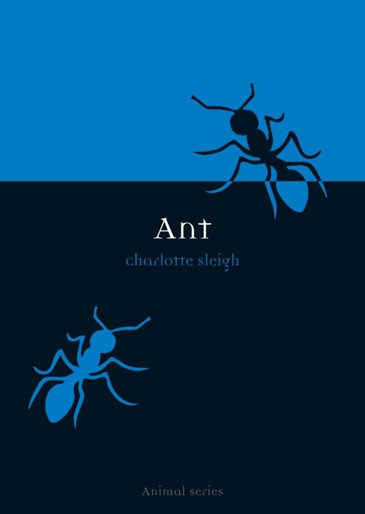 Produktbild: Ant