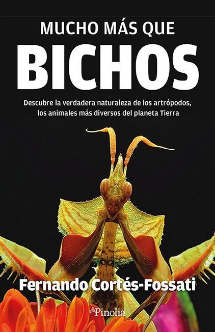 Produktbild: Mucho M&aacute;s Que Bichos
