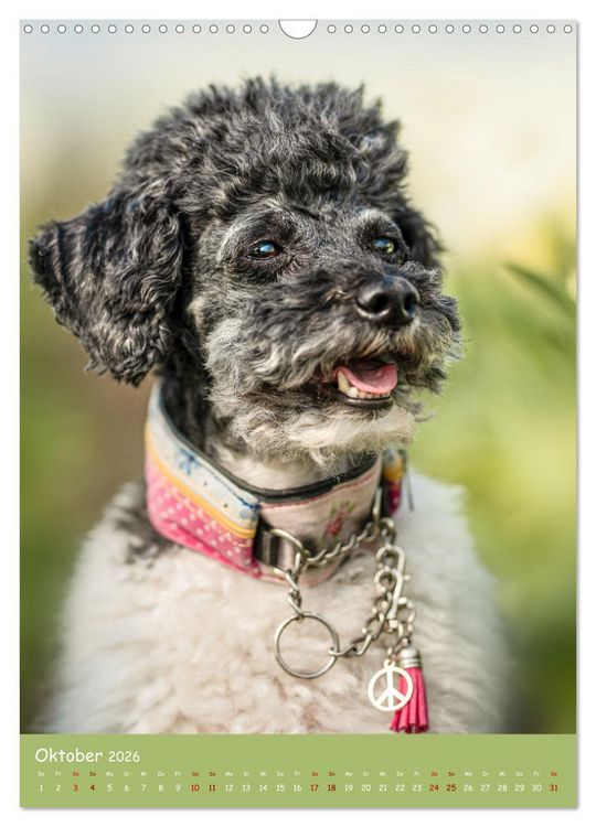 Produktbild: Flora Canidae - der Hunde-Bl&uuml;hpflanzen-Kalender (Wandkalender 2026 DIN A3 hoch), CALVENDO Monatskalender