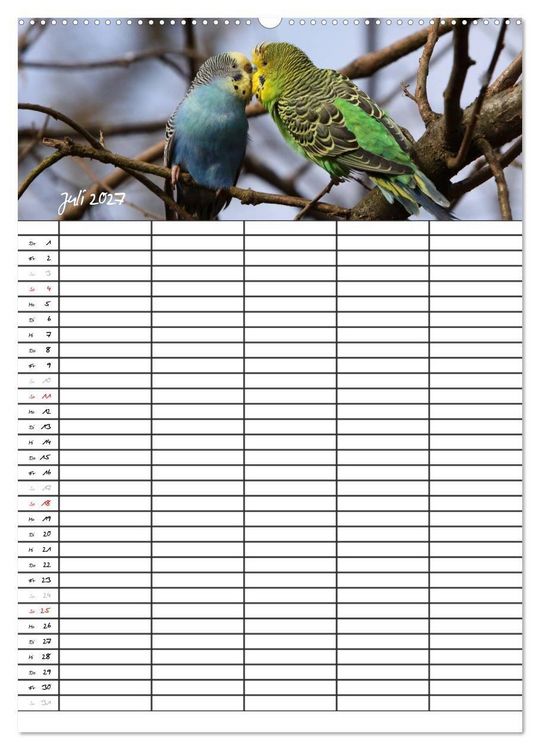 Produktbild: Wellensittiche (hochwertiger Premium Wandkalender 2027 DIN A2 hoch), Kunstdruck in Hochglanz