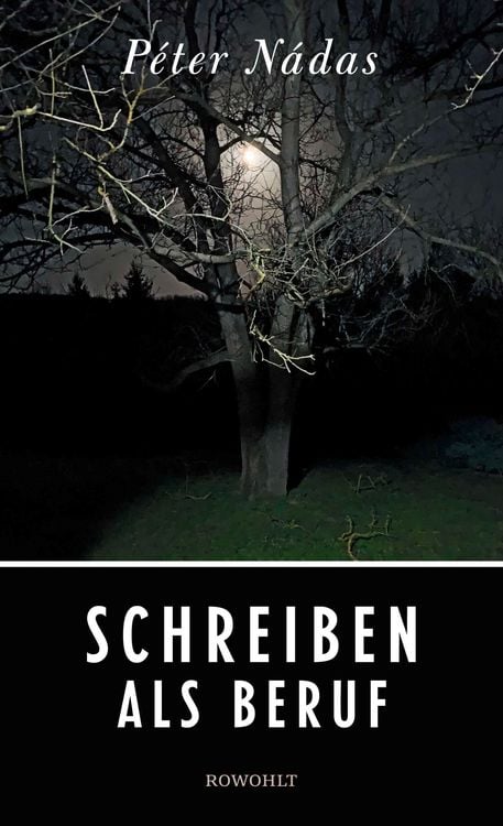 Produktbild: Schreiben als Beruf
