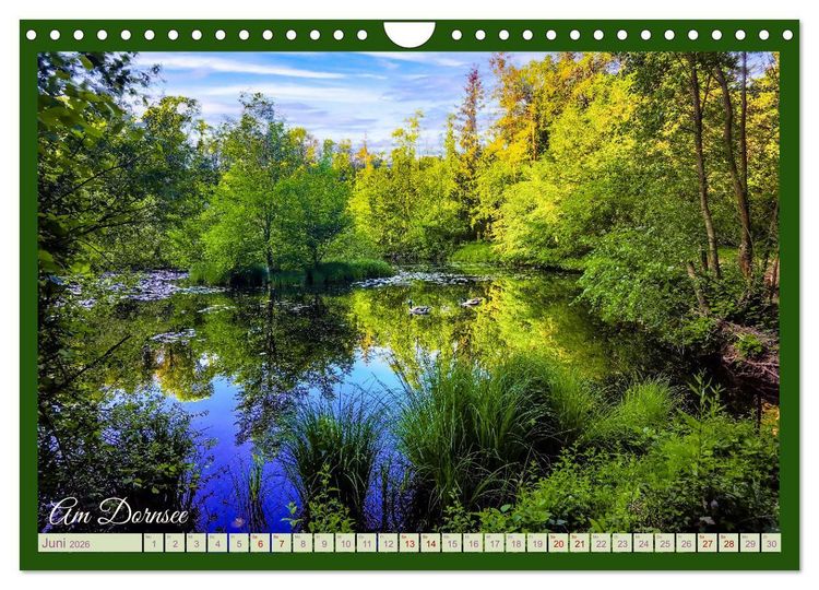 Produktbild: Dreieich Natur Pur (Wandkalender 2026 DIN A4 quer), CALVENDO Monatskalender
