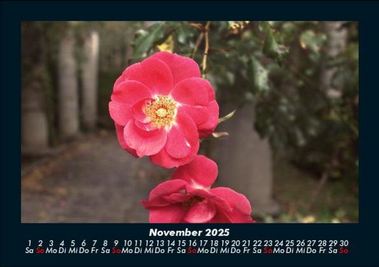 Produktbild: Blumenzauber 2025 Fotokalender DIN A5