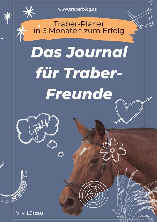 Produktbild: Traber-Planer - in 3 Monaten zum Erfolg