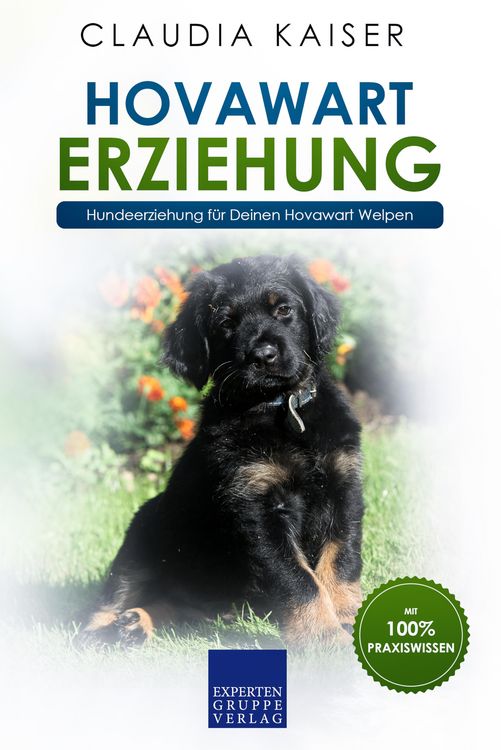 Produktbild: Hovawart Erziehung - Hundeerziehung f&uuml;r Deinen Hovawart Welpen