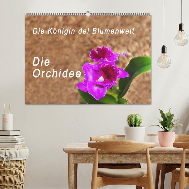 Produktbild: Die K&ouml;nigin der Blumenwelt, die Orchidee (Wandkalender 2026 DIN A2 quer), CALVENDO Monatskalender