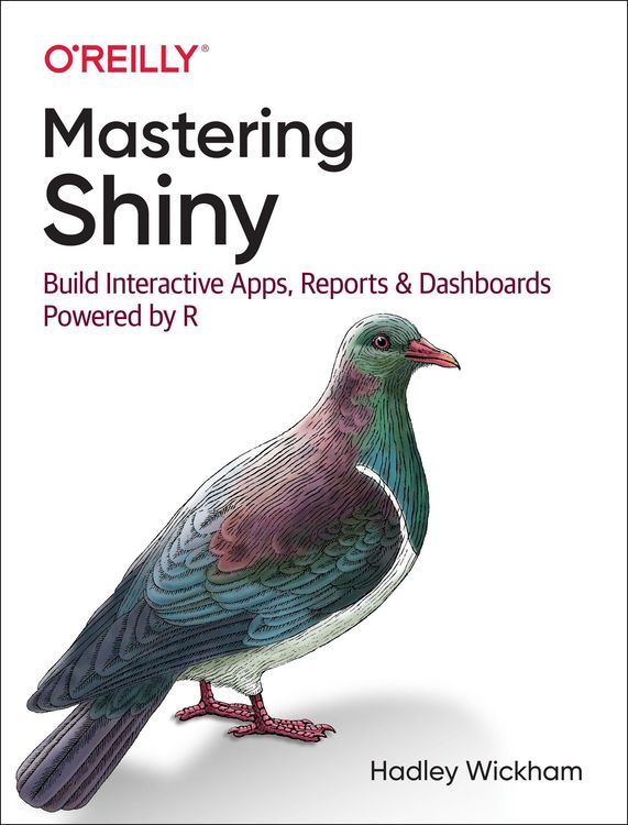 Produktbild: Mastering Shiny