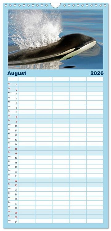 Produktbild: Familienplaner 2026 - Orcas: Schwarz-wei&szlig;e Giganten mit 5 Spalten (Wandkalender, 21 x 45 cm) CALVENDO