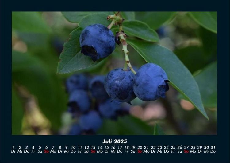 Produktbild: Obstkalender 2025 Fotokalender DIN A4