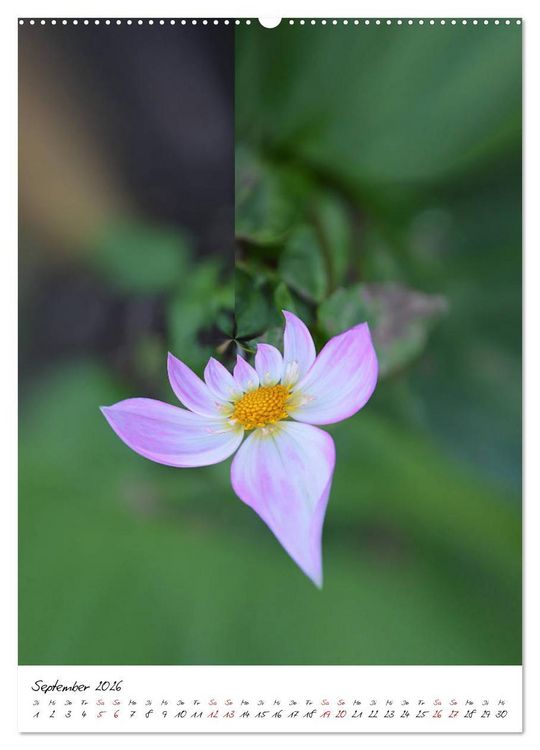 Produktbild: Durchschnittlich - Verzauberte Flora (Wandkalender 2026 DIN A2 hoch), CALVENDO Monatskalender
