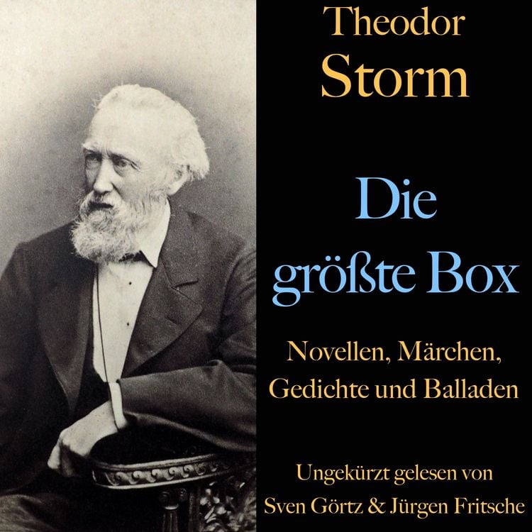Produktbild: Theodor Storm: Die gr&ouml;&szlig;te Box