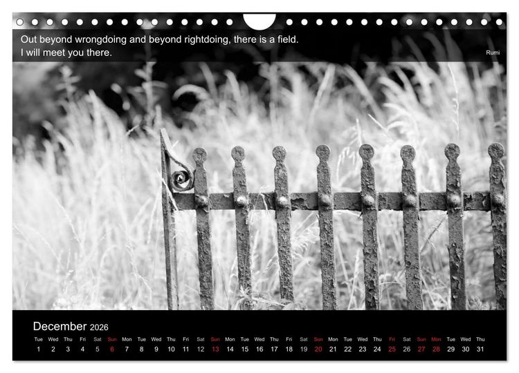 Produktbild: Through the Gate with Rumi (Wall Calendar 2026 DIN A4 landscape), CALVENDO 12 Month Wall Calendar