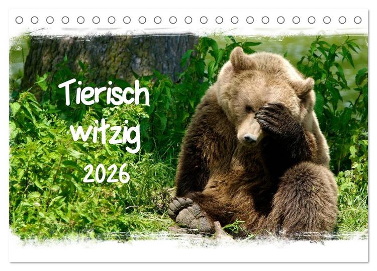 Produktbild: Tierisch witzig (Tischkalender 2026 DIN A5 quer), CALVENDO Monatskalender