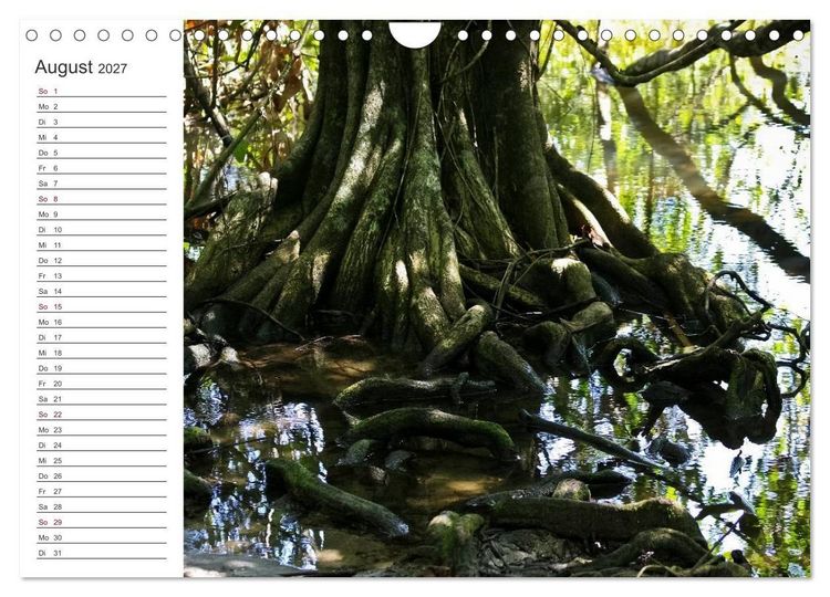 Produktbild: Costa Rica - Natur Pur (Wandkalender 2027 DIN A4 quer), CALVENDO Monatskalender