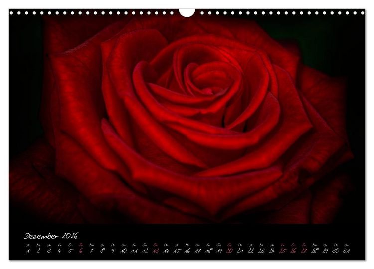 Produktbild: Serenade - Visuelle Musik der Blumen (Wandkalender 2026 DIN A3 quer), CALVENDO Monatskalender