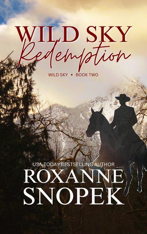 Produktbild: Wild Sky Redemption