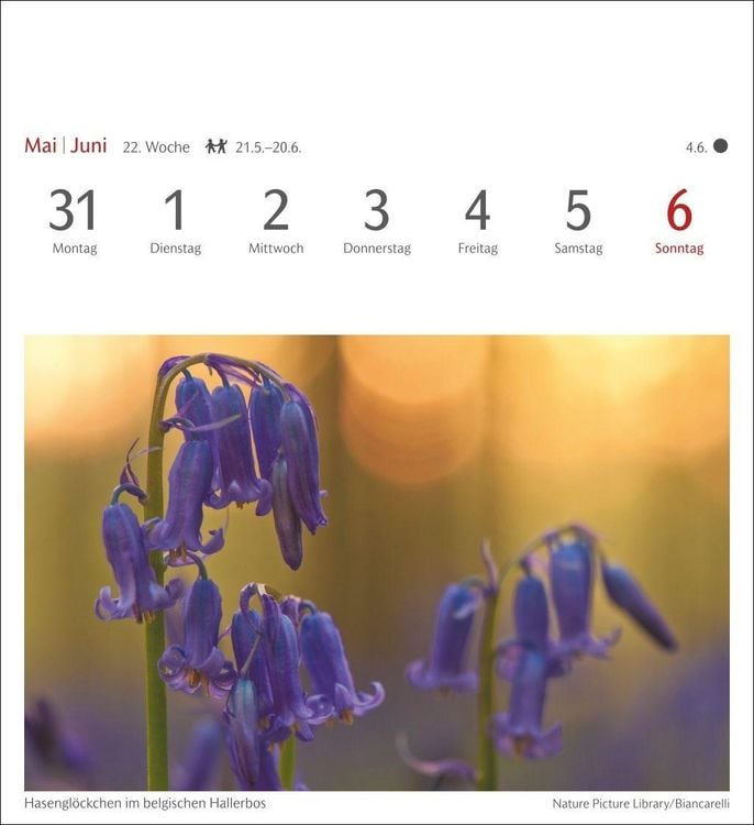Produktbild: Farben der Natur Postkartenkalender 2027 - Wochenkalender mit 53 Postkarten