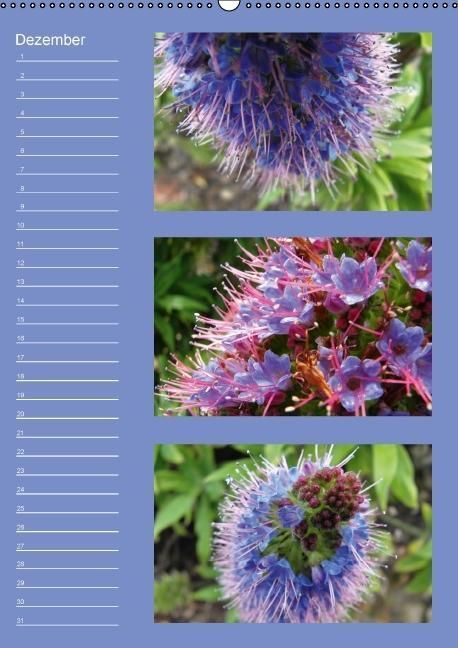 Produktbild: Zauberwelt der Blumen - Eiskristalle & Wasserperlen / Geburtstagskalender (Wandkalender immerw&auml;hrend DIN A2 hoch)