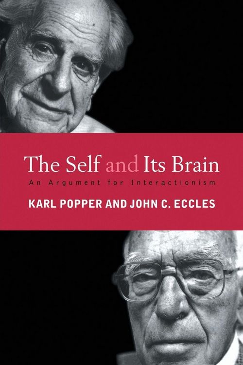 Produktbild: The Self and Its Brain