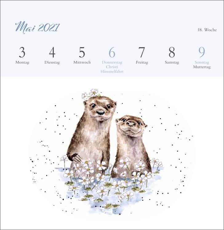 Produktbild: Hannah Dale: Happy Animals Premium-Postkartenkalender 2027