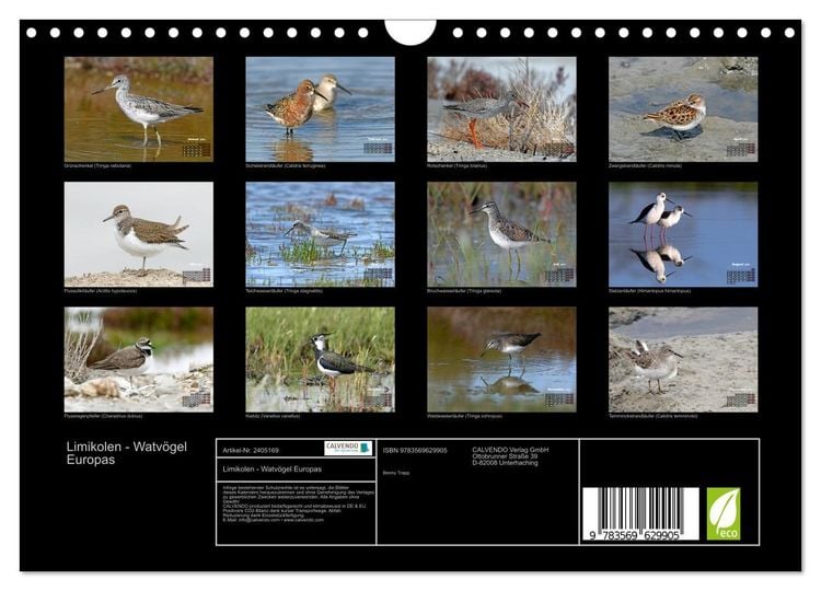 Produktbild: Limikolen - Watv&ouml;gel Europas (Wandkalender 2027 DIN A4 quer), CALVENDO Monatskalender