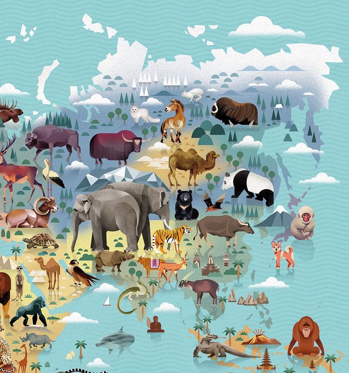 Produktbild: Die Welt der Tiere