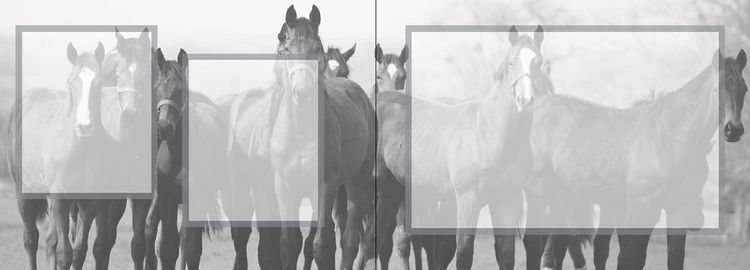 Produktbild: Mein Reiter-Tagebuch - F&uuml;r alle Erlebnisse und Erinnerungen aus dem Reitstall