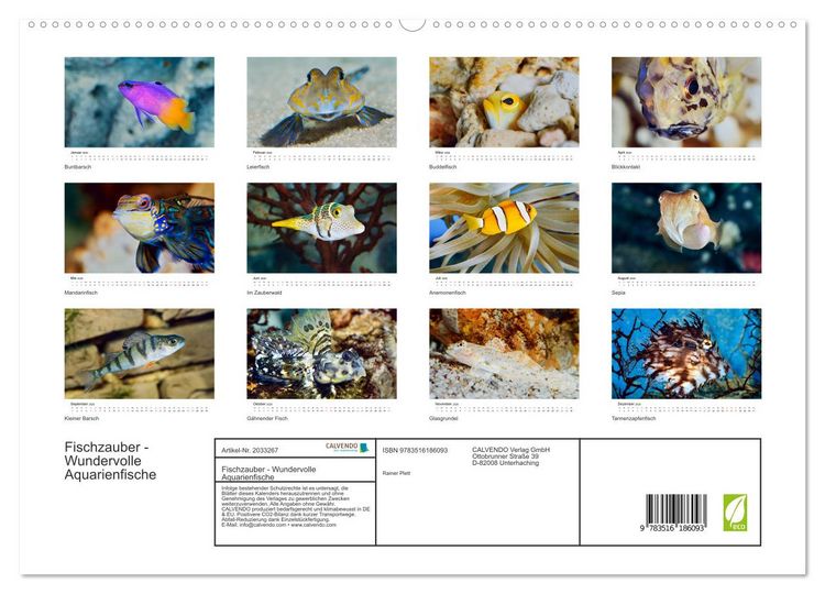 Produktbild: Fischzauber - Wundervolle Aquarienfische (hochwertiger Premium Wandkalender 2026 DIN A2 quer), Kunstdruck in Hochglanz