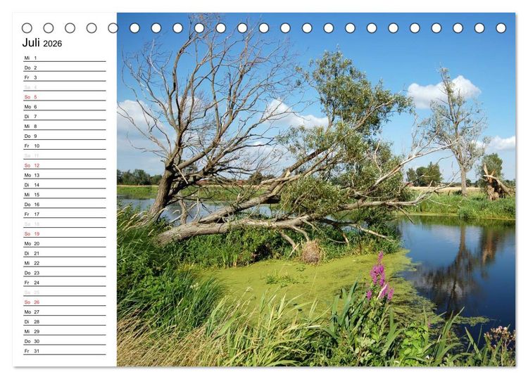 Produktbild: Vier Jahreszeiten im Land Brandenburg (Tischkalender 2026 DIN A5 quer), CALVENDO Monatskalender