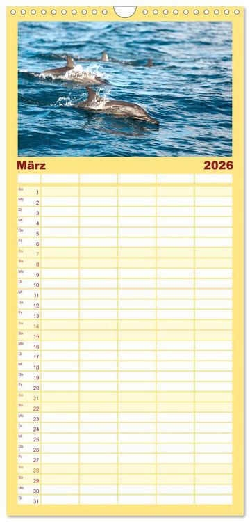 Produktbild: Familienplaner 2026 - Mosambik - Eine Perle im S&uuml;den Afrikas. mit 5 Spalten (Wandkalender, 21 x 45 cm) CALVENDO