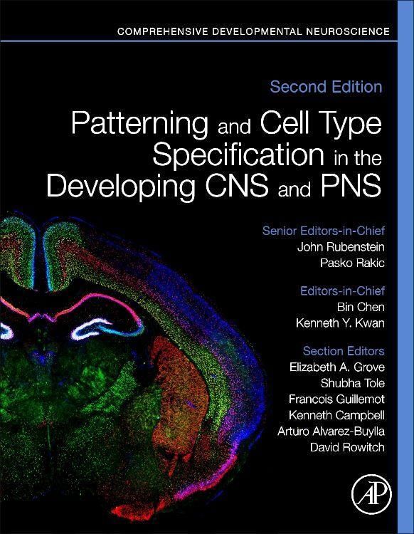 Produktbild: Patterning and Cell Type Specification in the Developing CNS and Pns