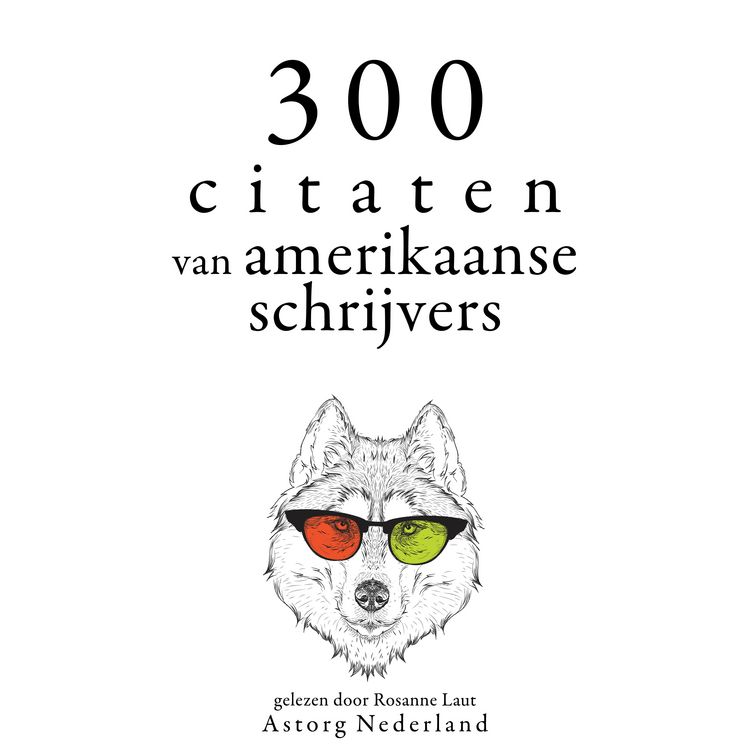 Produktbild: 300 citaten van Amerikaanse schrijvers