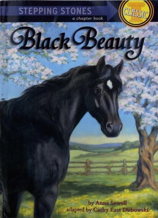 Produktbild: Black Beauty